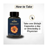 FIJ AYURVEDA Shilajit  Capsule Supports Vigor & Vitality - 500mg 60 Capsules (Pack of 2)