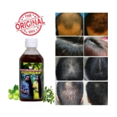 Smartdrops Anti Hair Fall Amla Oil 200 ml ( Pack of 2 )