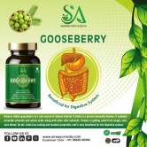 GOOSEBERRY(Improves eyesight, Richest source of vitamin C, Heart health, liver health(60 Capsules))