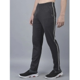 Dollar Light Grey Cotton Blend Mens Trackpants ( Pack of 1 ) - None