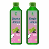 Mint Veda 100% Pure Natural Karela Jamun Juice Which Controls SBlood Sugar, Lowers Bad Cholesterol Naturally, Sugar Free Healthy Herbal Juice, 1 Litre Pack of 2