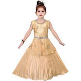 Arshia Fashions Girls Gown Dress for Kids - None