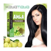 100% Natural Amla Powder 100gm