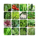 Kitchen Garden big pack 550+ seeds are best suited for growing all seasons.