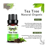 Phillauri Tea Tree Others Essential Oil Fruity With Dropper 30 mL ( Pack of 1 )