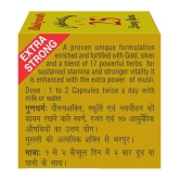 Baidyanath Vita Ex Gold Plus (10 Capsule)