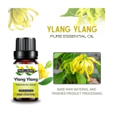 Phillauri Ylang-Ylang Others Essential Oil Fruity With Dropper 60 mL ( Pack of 2 )