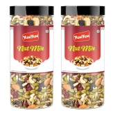 YUM YUM Premium Mixed Dry Fruits & Berries Healthy Dried Nutmix, 500g (Pack Of 2-250g Each)