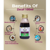 Vaddmaan Zecof - 6 X 100Ml Ayurvedic Cough Syrup For Wet And Dry Cough & Cold