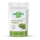 Nature's Gift Wheat Grass Powder 1000 gm Vitamins Powder