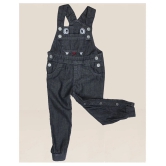 Dungaree For Boys & Girls Casual Printed Denim Blend - None