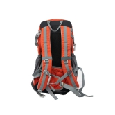 Pro Trekking Backpack 25 Ltr: Ventilated Backpack with Hydration Compatibility and Built-in Rain Cover for Multi-Day Hikes (Colour - Orange) by Total Sporting And Fitness Solutions Pvt Ltd