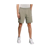 Evostripe Lite Mens Shorts