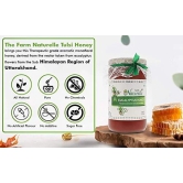 Farm Naturelle-Eucalyptus Forest 100% Pure Raw Un-Processed Honey 400 GMS with Cinnamon Honey and a Wooden Spoon.