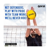 AIVIN Flying Volleyball/Rubber Moulded Construction/for Indoor/Outdoor/Hobby Balls/for Men/Women Size - 4 - 4