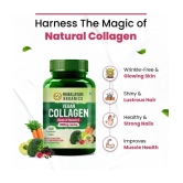 Himalayan Organics Vegan Collagen 2000Mg With Biotin And Vitamin C | Good For Glowing Skin | Healthy Hair And Nail - 100 Veg Tablets