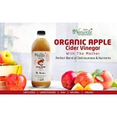 Farm Naturelle Glass Bottle Organic Apple Cider Vinegar with Mother-500 ml Along with Raw Acacia Forest Honey 250 g