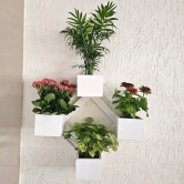 BARISH - Wall Mounted Planter - Diamond | Handcrafted with Rubberwood | Indoor Planter Frame with Stand 25 x 25 x 6 Inches