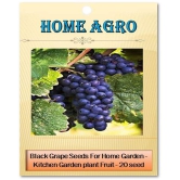 homeagro - Fruit Seeds ( 20 seeds )