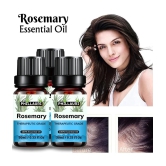 Phillauri Rosemary Others Essential Oil Floral With Dropper 90 mL ( Pack of 3 )