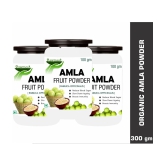 rawmest Amla Fruit Powder 100 gm Pack of 3