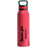 HomePro - Stainless Steel Vacuum Bottle , 24 hours Hot & cold Thermoware | Thermosteel, Flask, 650ml, Pink - Pink