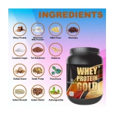 Nutriley Whey Gold Whey Protein ( 500 gm , American Icecream - Flavour )