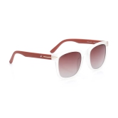 Brown Wayfarer Sunglasses for Unisex