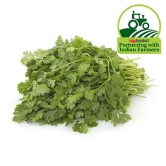 Coriander Leaves Bunch