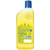 Lizol Disinfectant Surface Cleaner 500 Ml