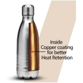 Milton Duo DLX 350 Thermosteel 24 Hours Hot and Cold Water Bottle, 350 ml, Silver - Silver