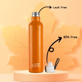 HYDRA SLEEK750ML-750ML / Orange