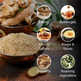 Dry Ginger Powder-250 gm