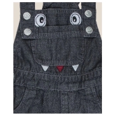 Dungaree For Boys & Girls Casual Printed Denim Blend - None