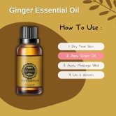 BELLY DRAINAGE GINGER ESSENTIAL OIL (60 DAYS PACK)-Buy 1 Get 1 Free (60 Days Pack)