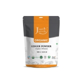 Just Jaivik Organic Ginger Powder-Just Jaivik Organic Ginger Powder