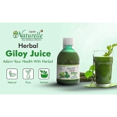 Farm Naturelle ? 100 % Pure Herbal Giloy Juice Enhances Body Immunity 400Ml x 2 and Infused Honey 55g x 2