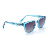 Grey Wayfarer Sunglasses for Men and Women