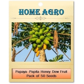 homeagro - Papaya Fruit ( 50 Seeds )