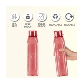 Milton Prime 1000 Pet Water Bottle, Set of 2, 1 Litre Each, Burgundy - Burgundy