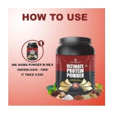 Nutriley Ultimate Whey Whey Protein ( 500 gm , American Icecream - Flavour )