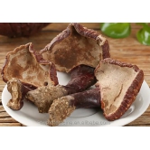 100% natural Dried loose whole wild Ganoderma tsugae Murr fungus