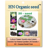 homeagro - Flower Seeds ( 20 )