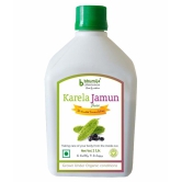 BHUMIJA LIFESCIENCES Karela Jamun Juice  Health Drink Liquid 1 l