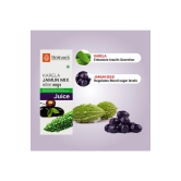 Krishna's Karela Jamun Mix Juice 1000 (Pack of 2)