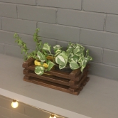 Planter Crate Type