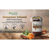 Farm Naturelle-Cinnamon Infused Honey |300g and Clove Honey 55g | No Added Sugars, Improves Immunity| 100% Pure Raw Natural Wild Forest Honey|