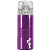 Milton Vogue 500 Stainless Steel Water Bottle, 490 ml, Purple - Purple