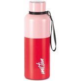 Milton Ancy 750 Thermosteel Water Bottle, 750 ml, Red | 24 Hours Hot and Cold | Easy to Carry | Rust Proof | Tea | Coffee | Office| Gym | Home | Kitchen | Hiking | Trekking | Travel Bottle -