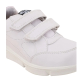 Stanfield - White Boys School Shoes ( 1 Pair ) - None